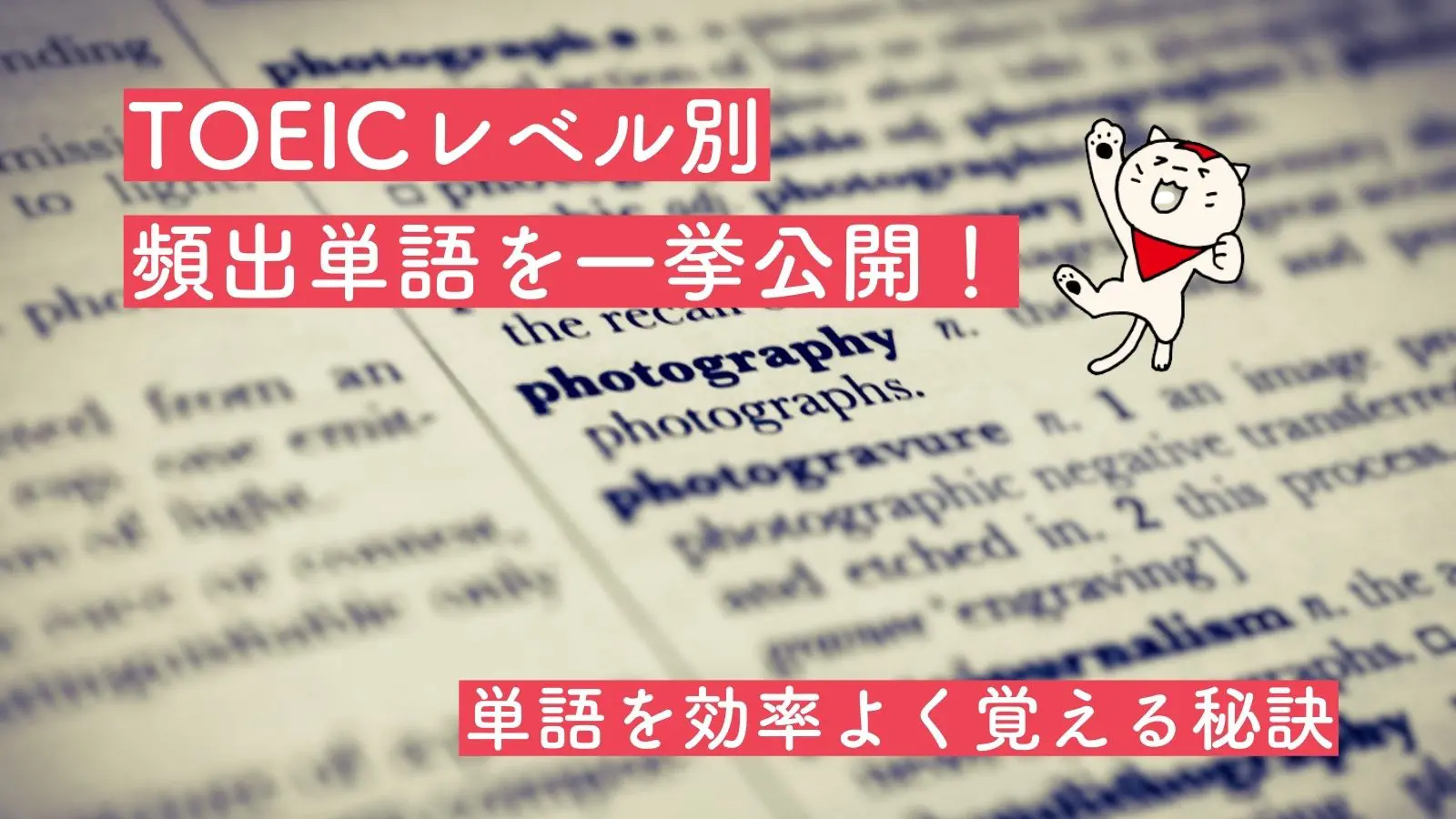 TOEICレベル別頻出単語を一挙公開！単語を効率よく覚える秘訣